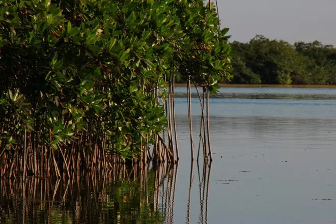 LAGUNA BÁVARO