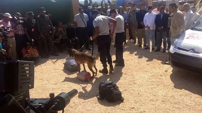 k9