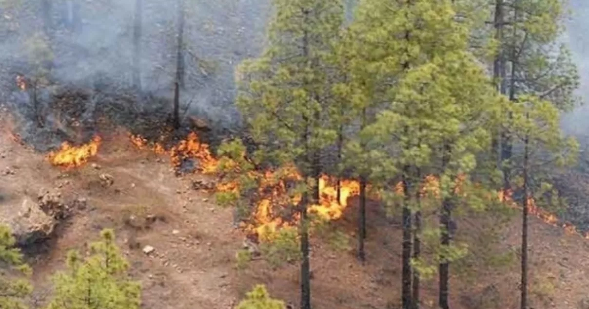 incendios forestales