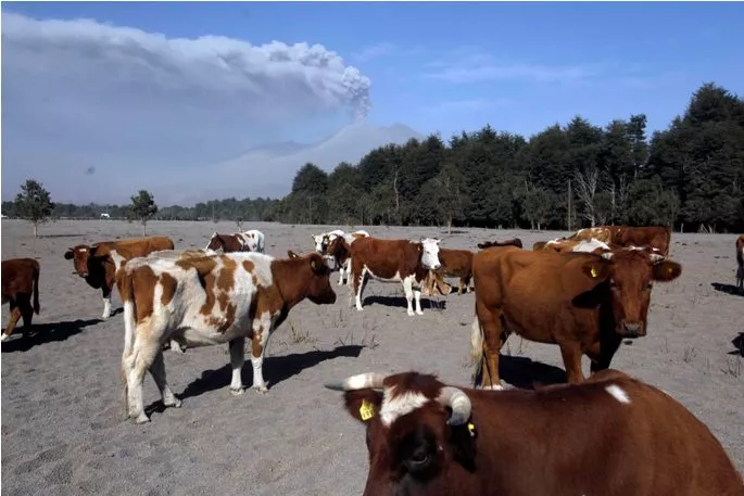 Chile Volcano