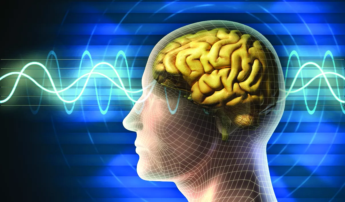 Brain waves