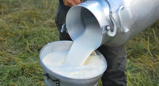 leche_fresca_vacuna