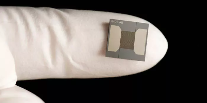 Microchip