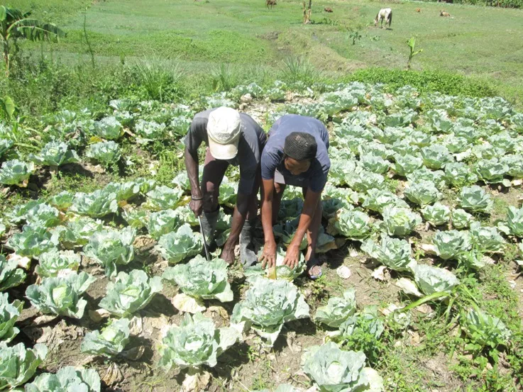 LOS POZOS, HAITI