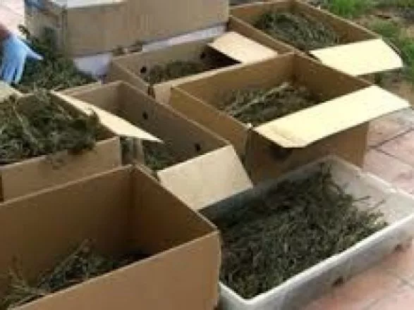 desmantelan-espana-una-red-narcotrafico-dirigida-colombia