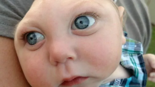 150929171939_jaxon_strong_624x351_familiabuell_nocredit
