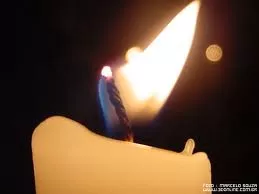 descarga (2)