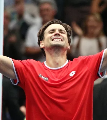 David Ferrer