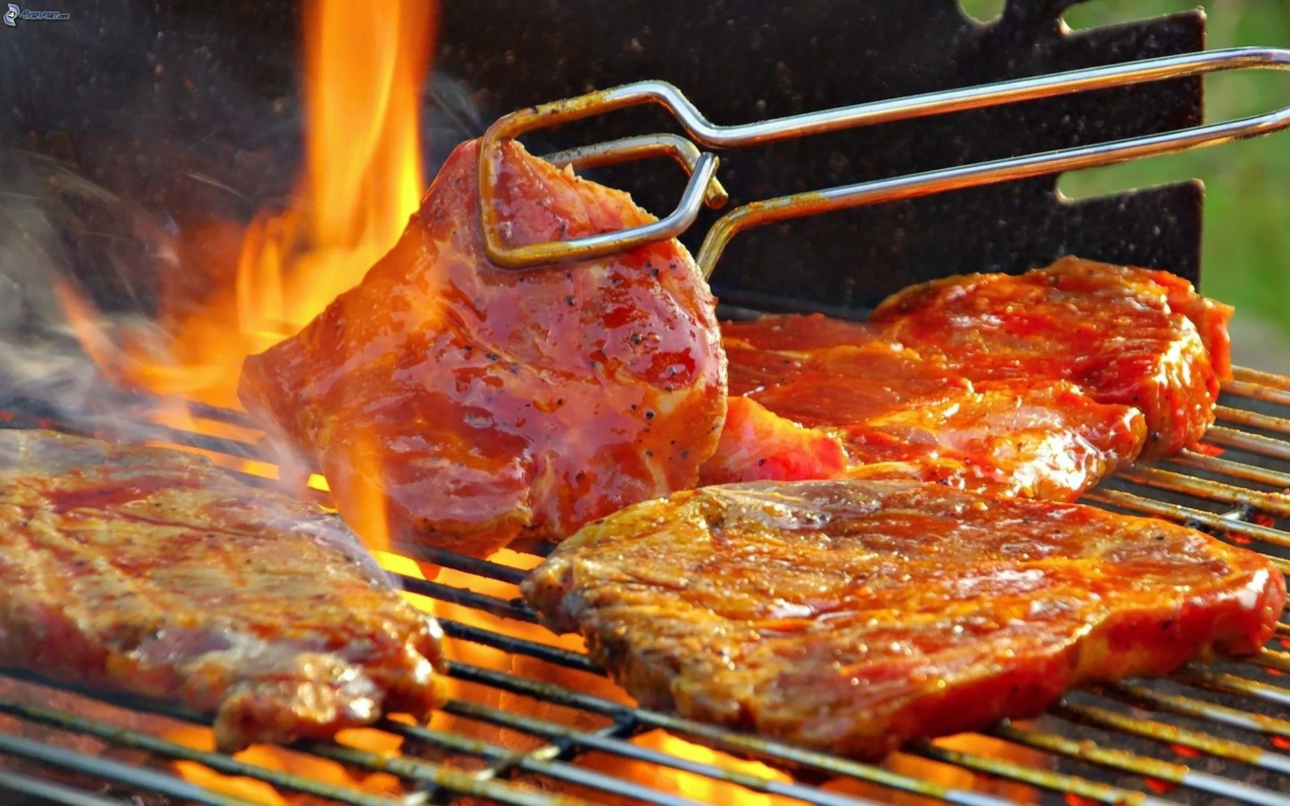 Carne roja 2
