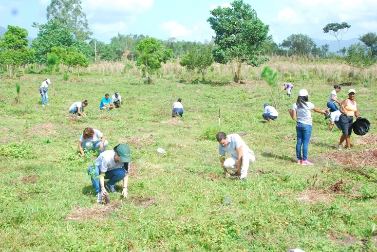 Jornada de Reforestación Be Center