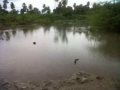 Yaque001