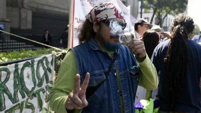 151104213004_mexico_marihuana_3_624x351_getty_nocredit