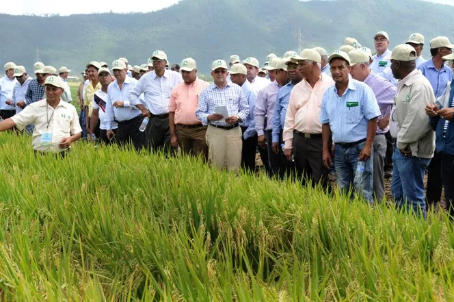Agricultura