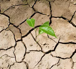 cambio_climatico2