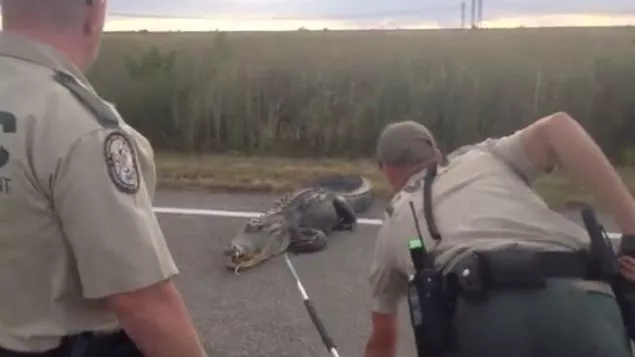 detiene-trafico-carretera-Florida-EEUU_MEDIMA20160311_0177_5