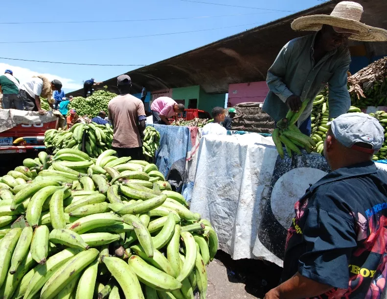 economia. platanos en el mercado nuevo