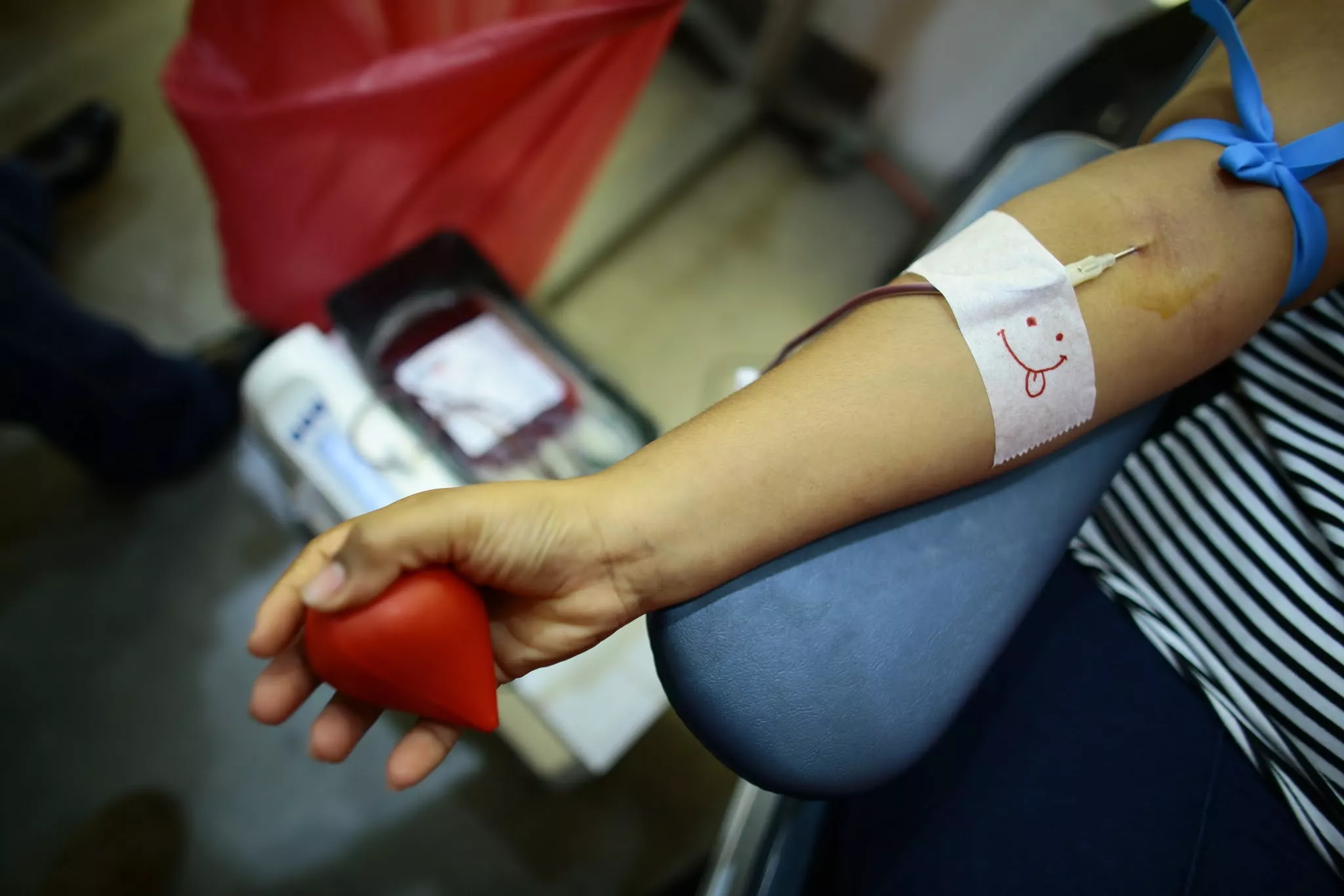 zika sangre