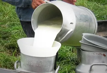 Riesgos-de-consumir-leche-cruda
