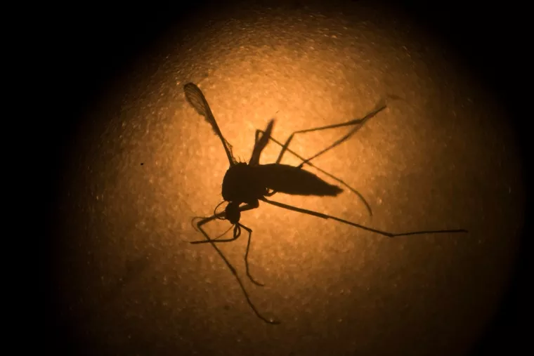 El gobernador de Florida declara libre del zika el foco de Miami