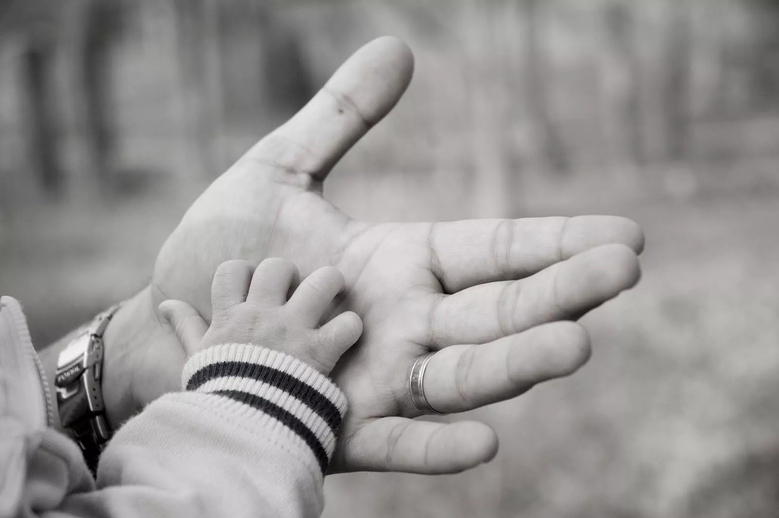 8 regalos que les puedes dar a los padres por su día