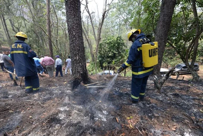 Incendio forestal