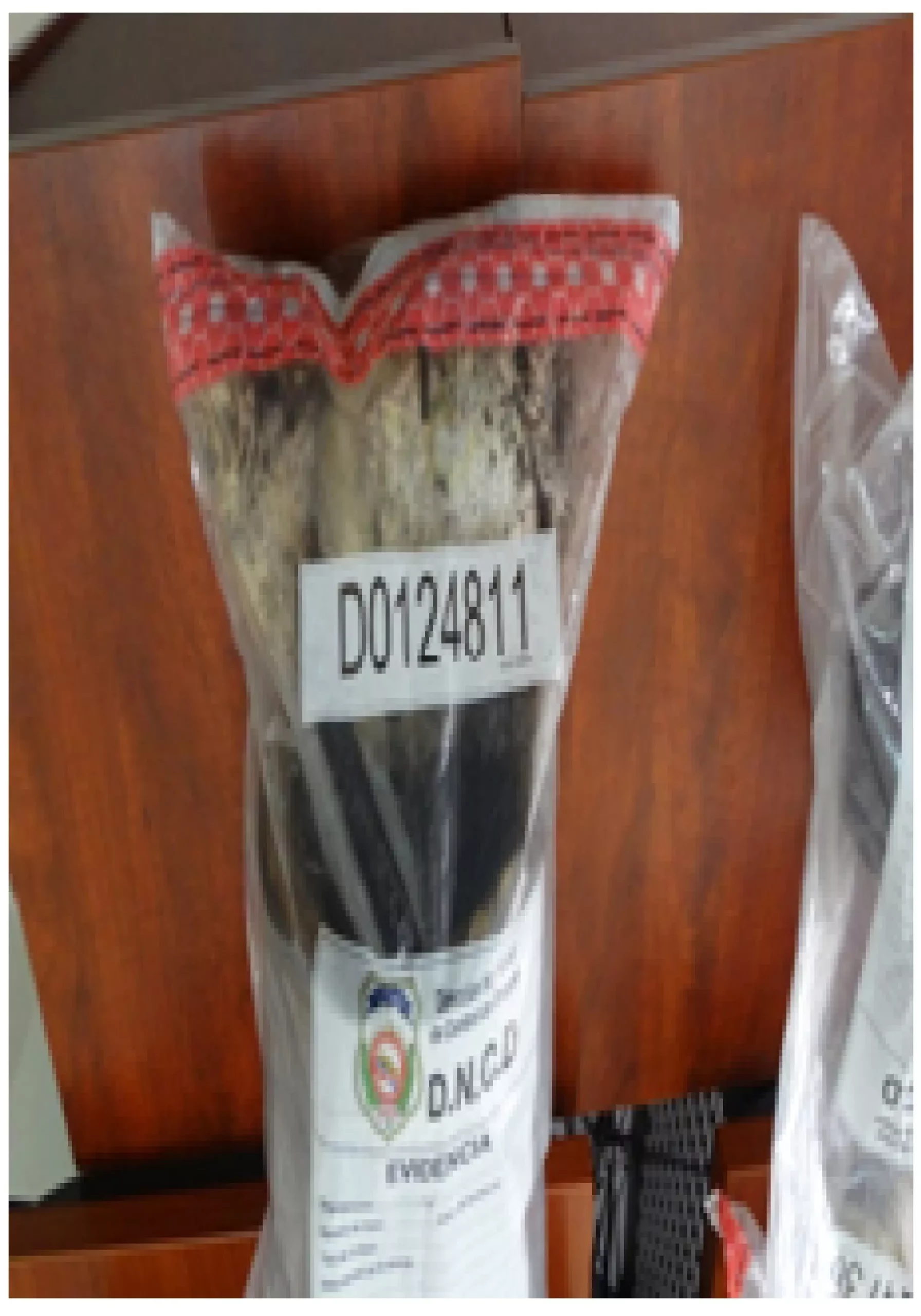 PILON 02