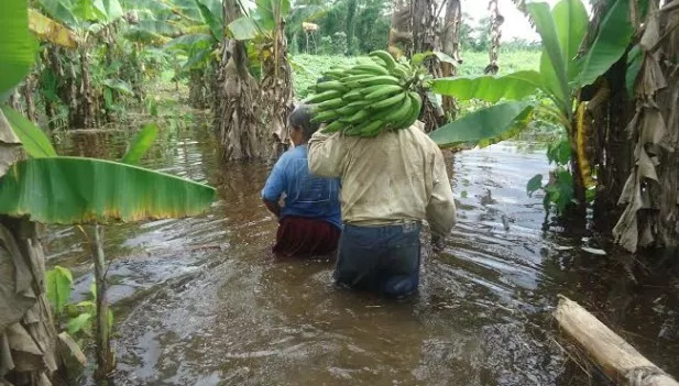 19-febrero-caritas-4-617×351