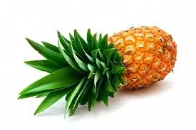 pin