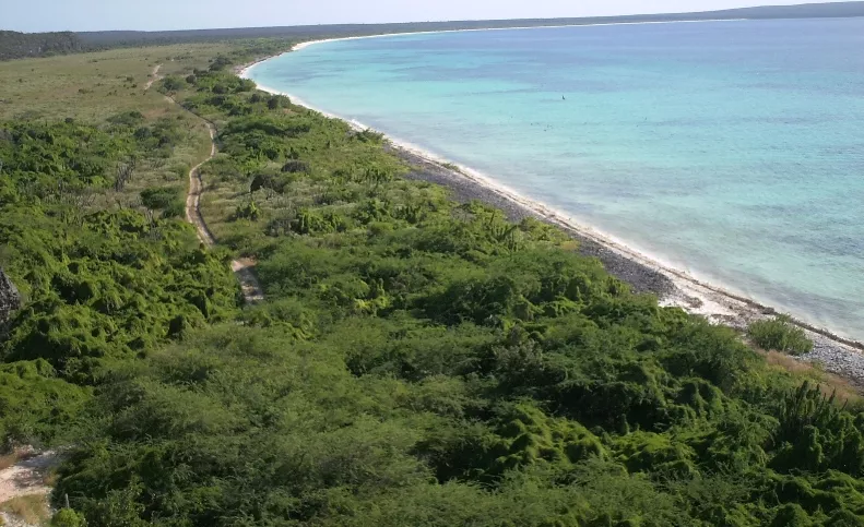 Bahía de las águilas