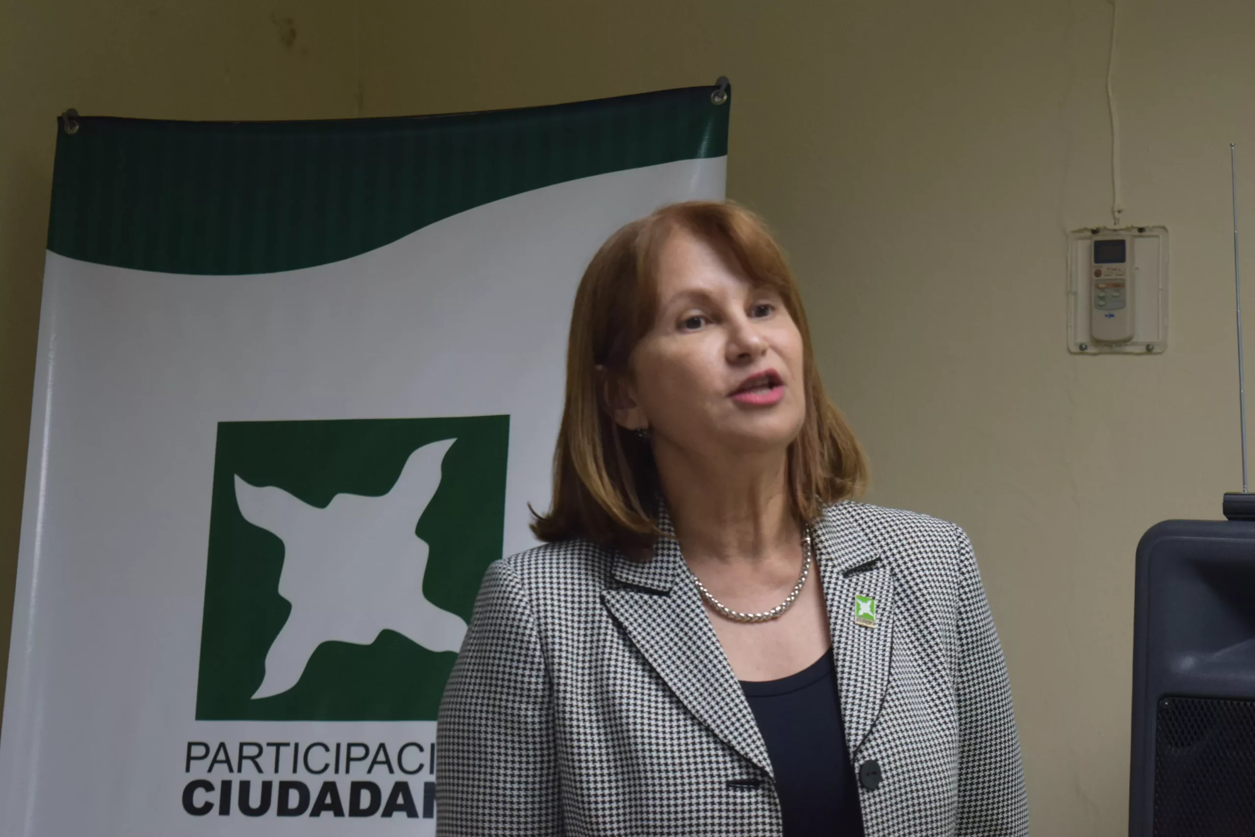 rosalia-sosa-participacion-ciudadana