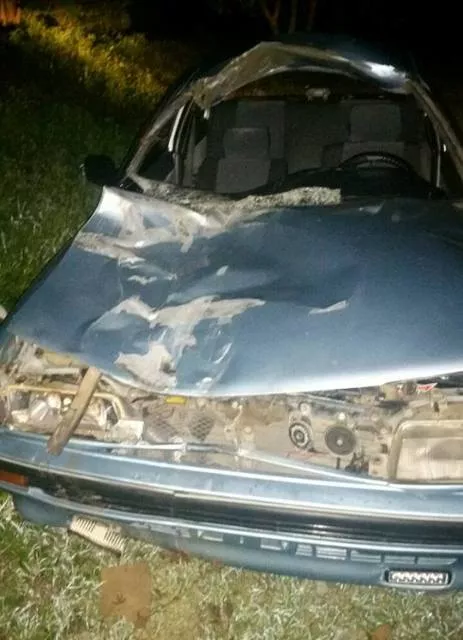 caballo-causa-accidente-en-carretera-puertoplata-montellano-autoridades-apresan-animales-animales-realengos-i-1