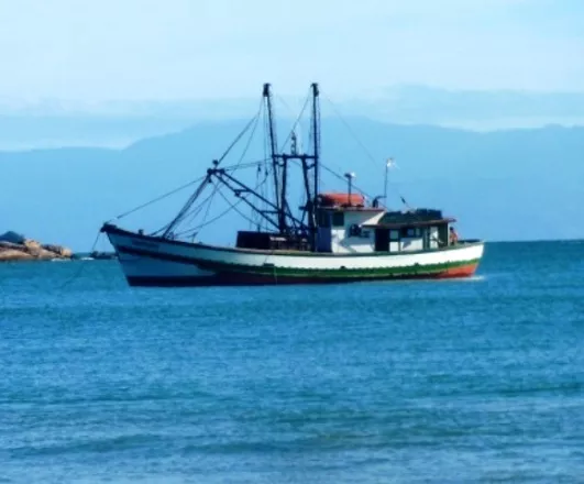liberan-barco-con-59-pescadores-dominicanos-que-estaban-bajo-custodia-en-jamaica-portada