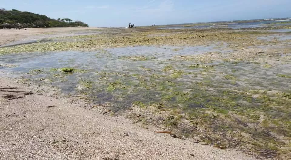 fotonoticia-vuelve-a-producirse-marea-de-cuadratura-en-playas-de-puerto-plata-i