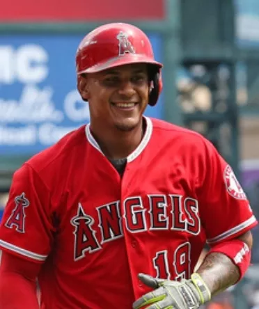 Los Angeles Angels of Anaheim v Detroit Tigers