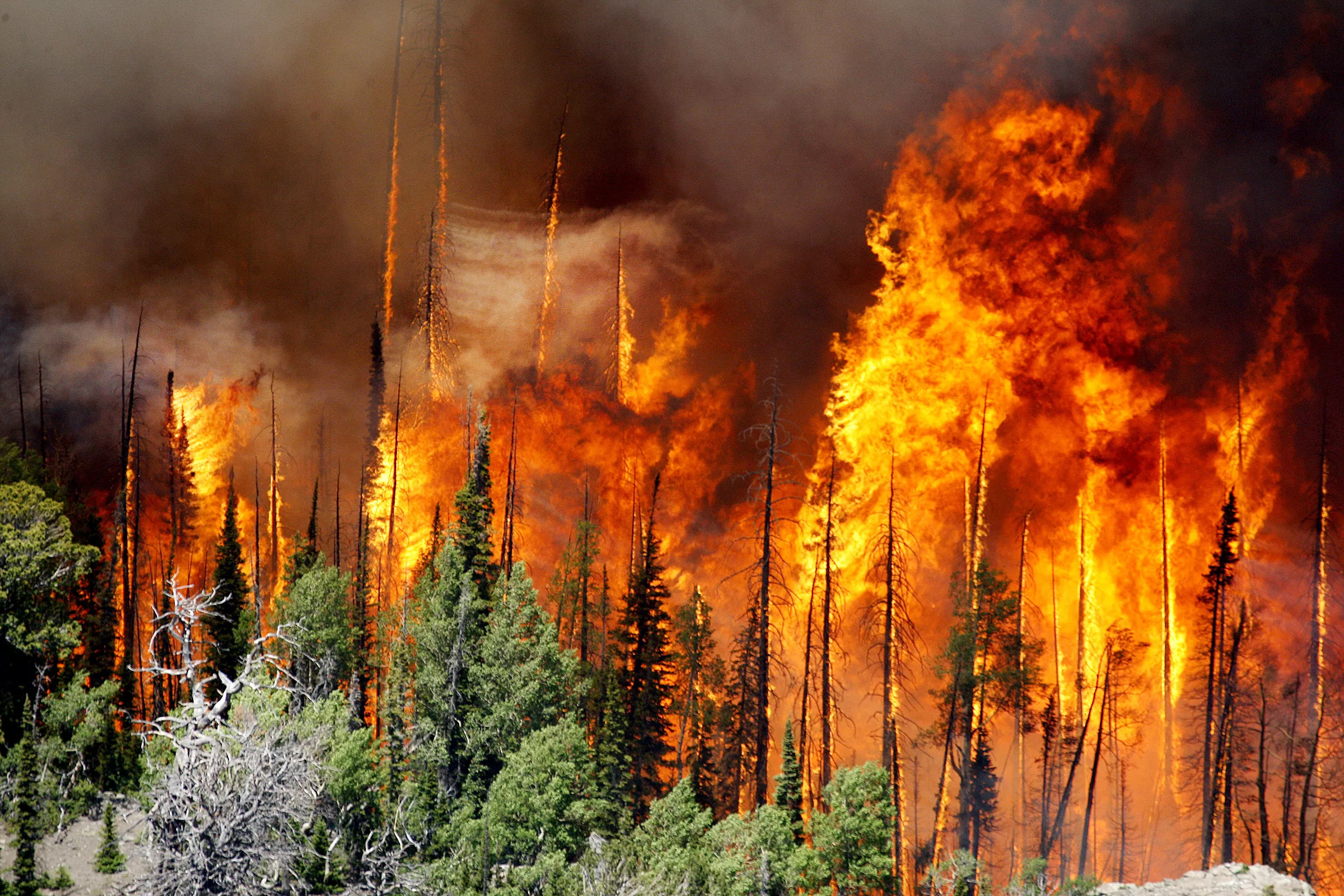 EEUU-INCENDIOS
