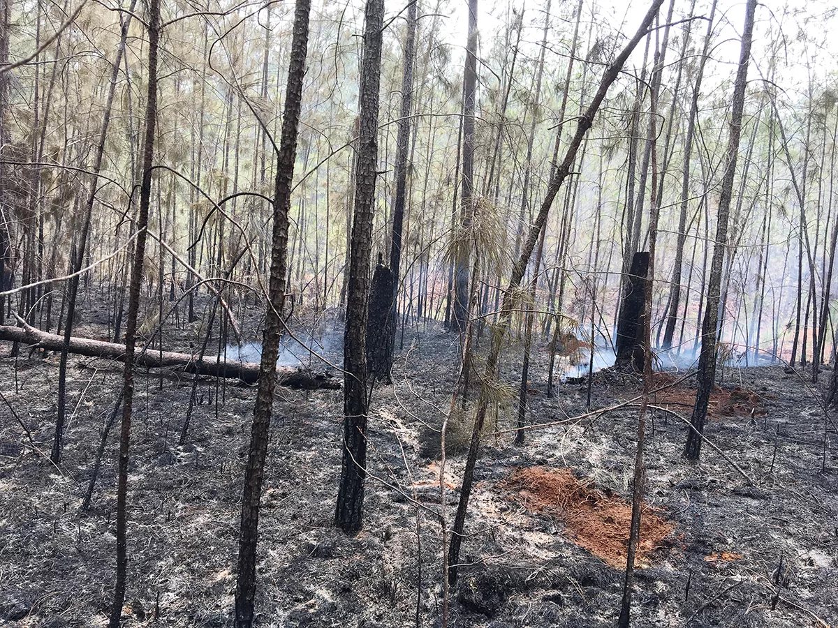 incendiobahoruco-50