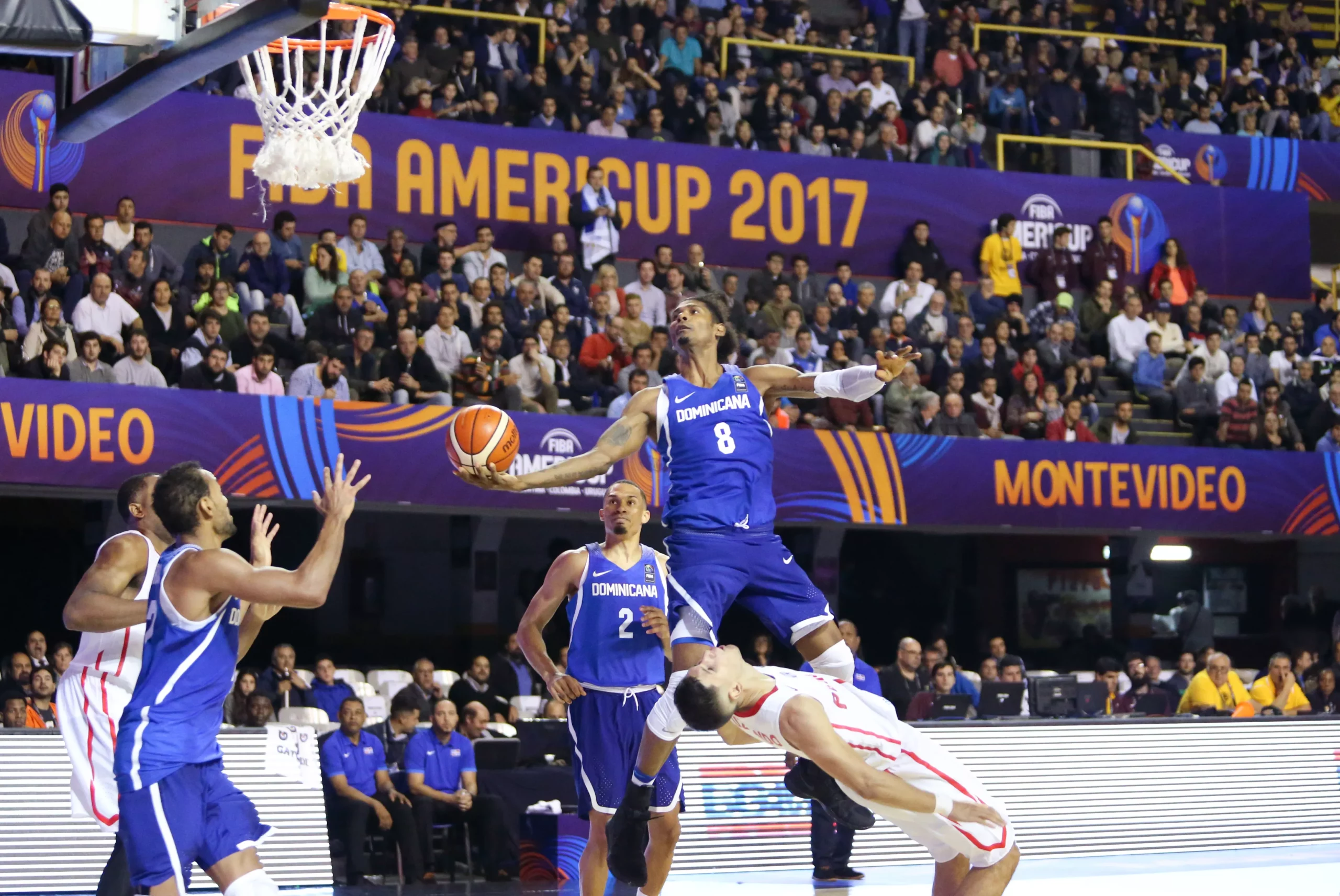 fiba