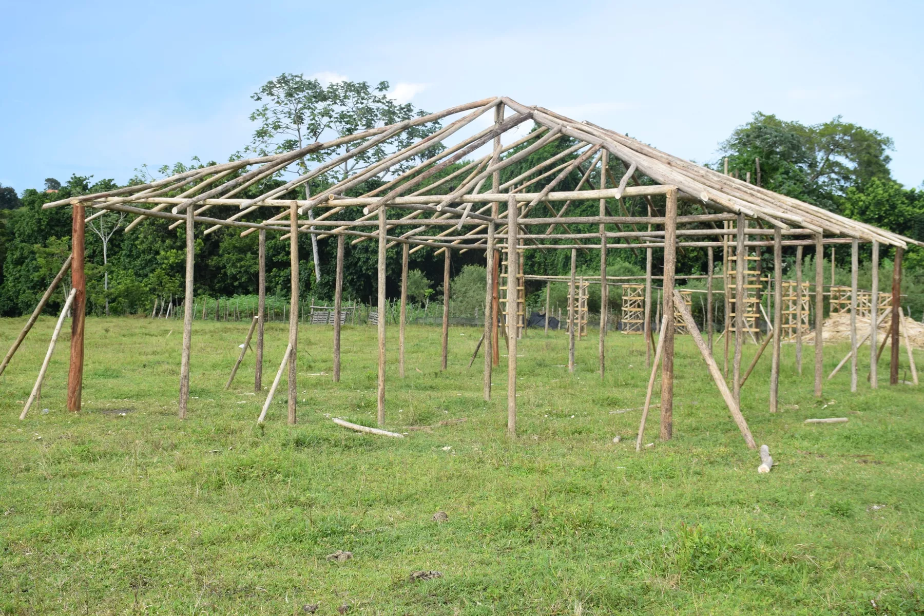 feria-ecoturistica