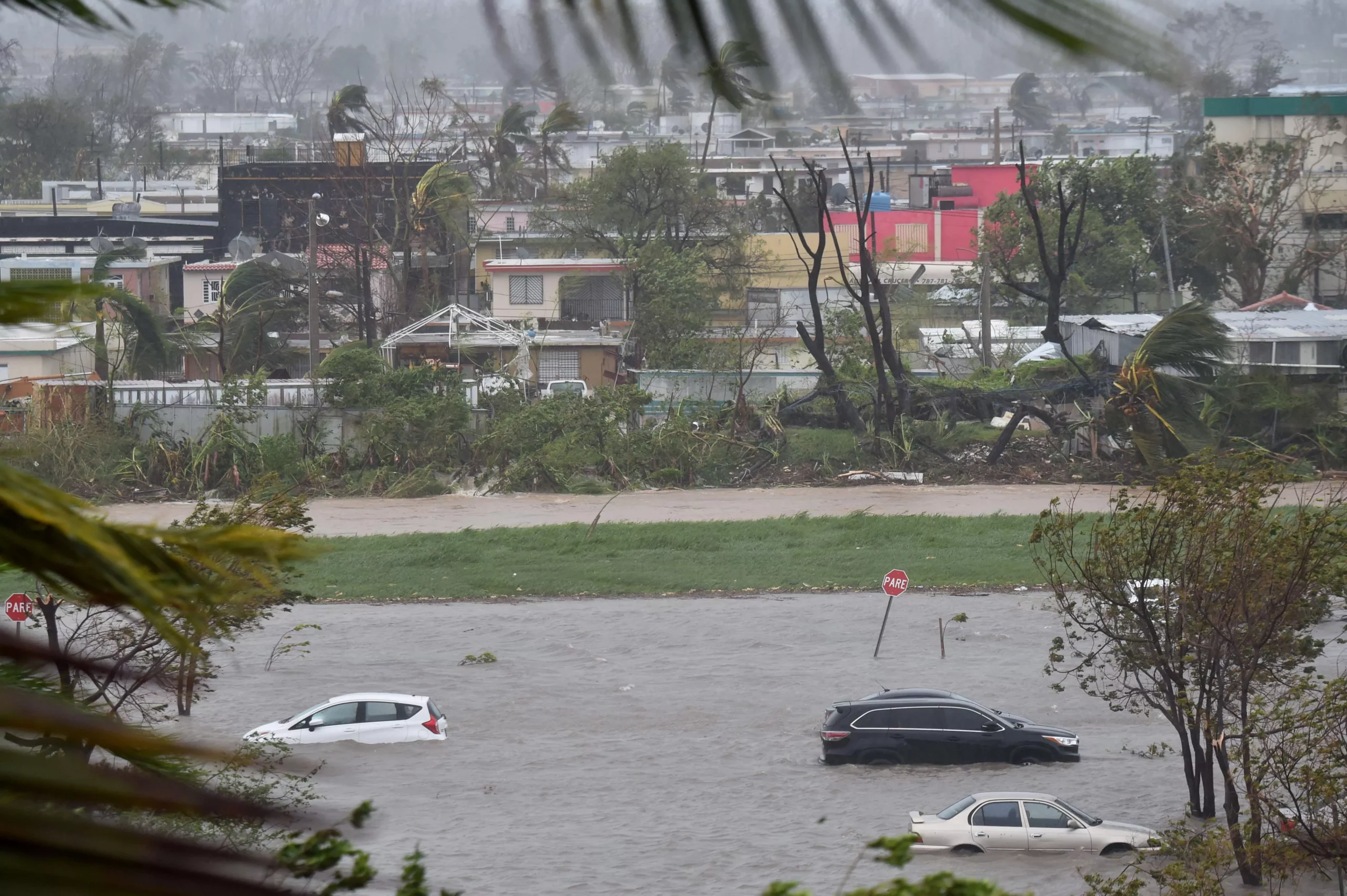 Aftermaths after hurricane Maria hit the Caribbean islands