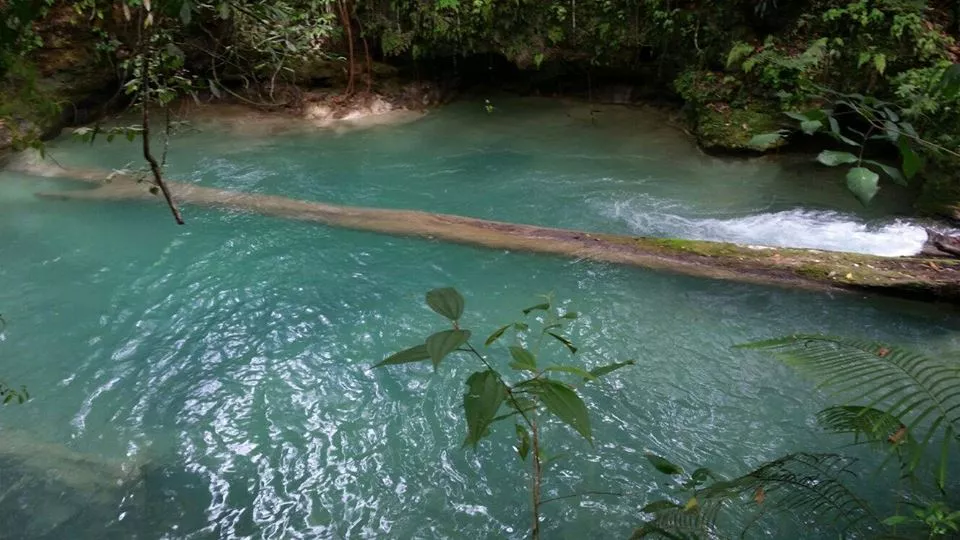 rio-sonador-de-yasica-arriba