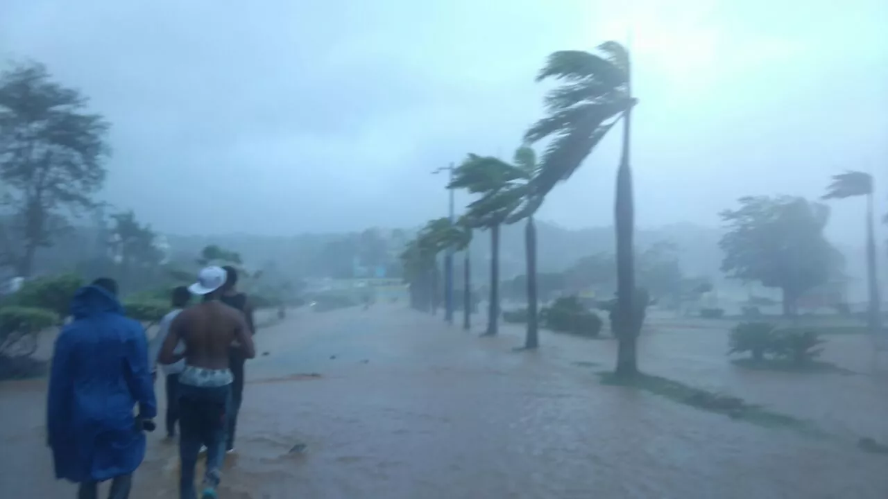 samana10