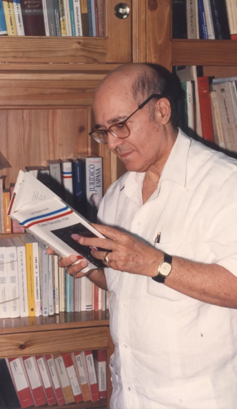 hernandez rueda, lupo