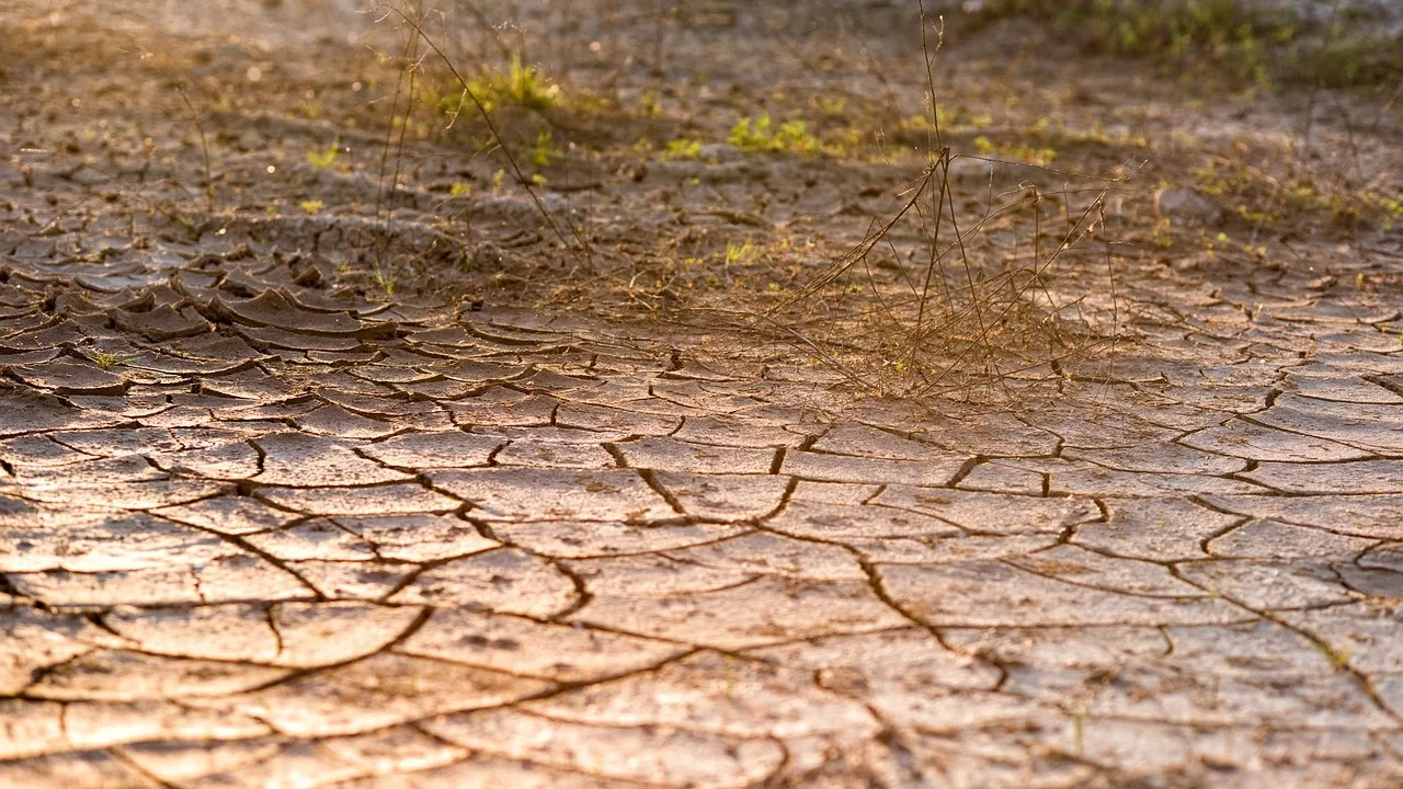 29515_cracked-ground-1_120