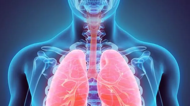 _98735582_pulmones