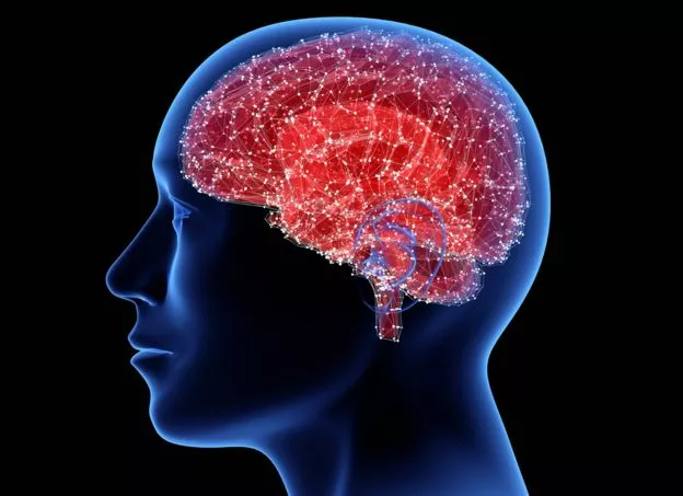 _98804218_cerebro