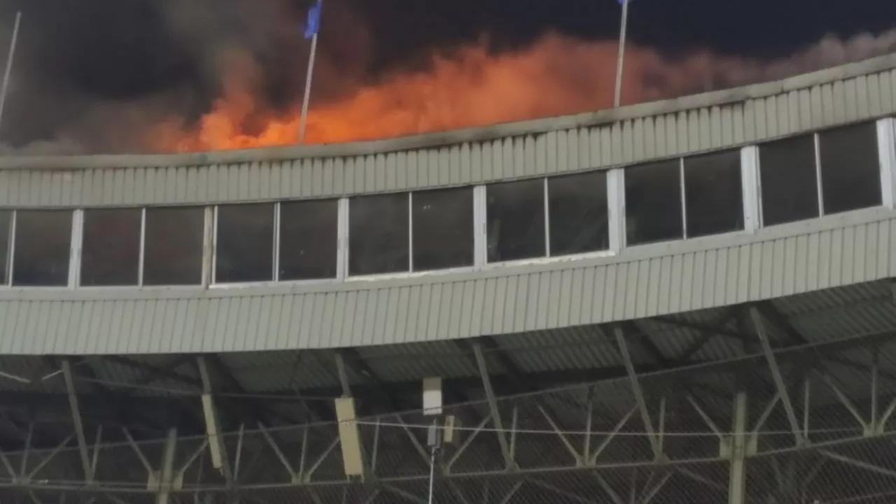 fuego-2