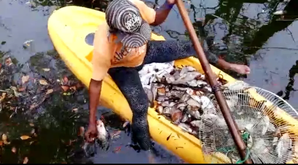 autoridades-del-codopesca-asumen-investigacion-sobre-muerte-de-peces-en-laguna-de-hotel-en-puerto-plata