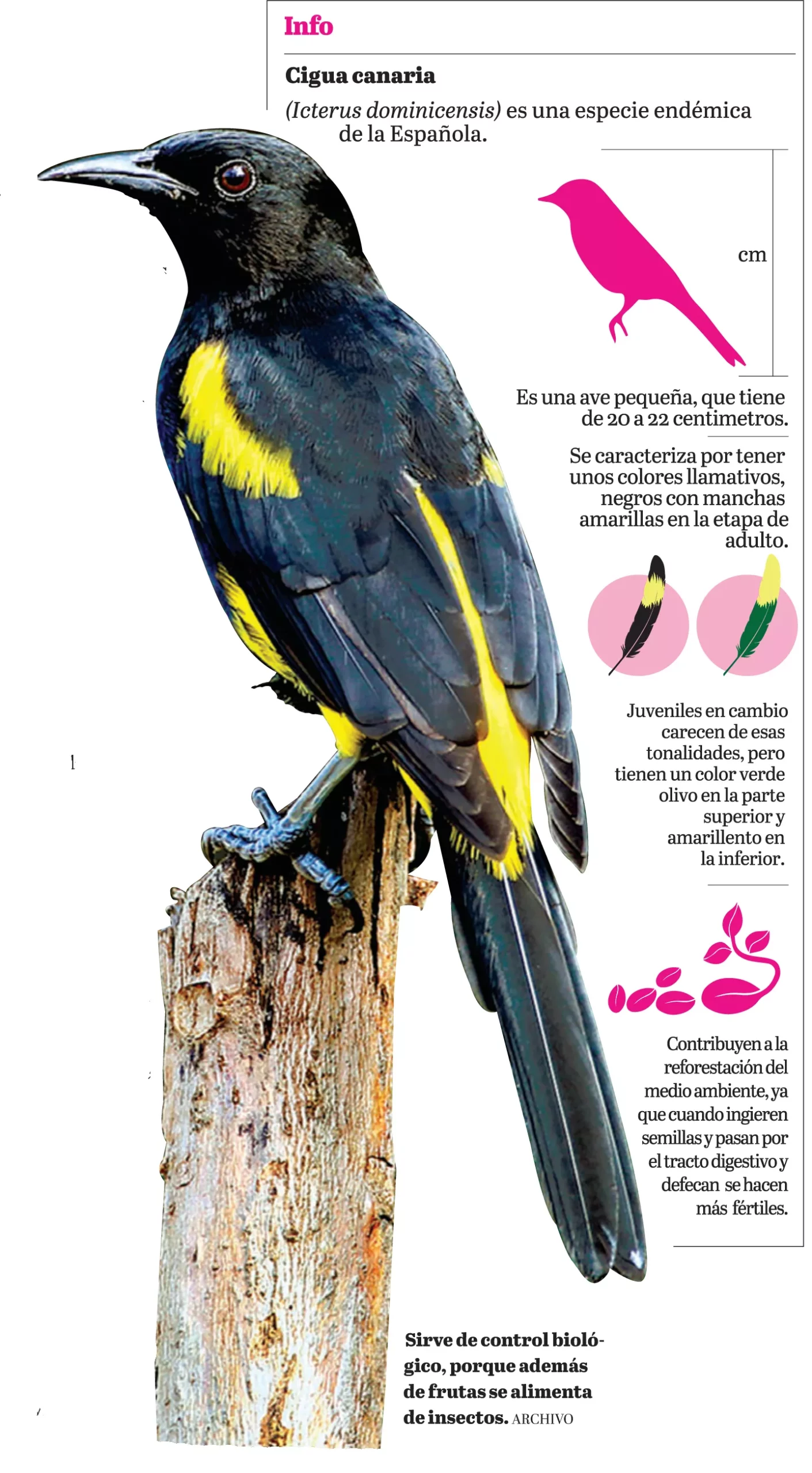 14/02/2018 ELDIA_MIERCOLES_140218_ Vida & Estilos24