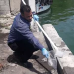 Derrame de una sustancia química llega hasta el río Haina, provoca muerte de peces y genera alarma