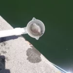 Derrame de una sustancia química llega hasta el río Haina, provoca muerte de peces y genera alarma
